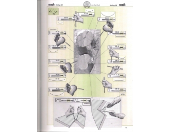 Koch_33-Revista KOCH 33 Aprende tallar en madera flores relieve avanzado-2.