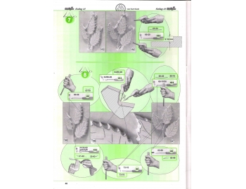 Koch_41-Como tallar hojas de arboles alto relieve revista Koch_41-2.