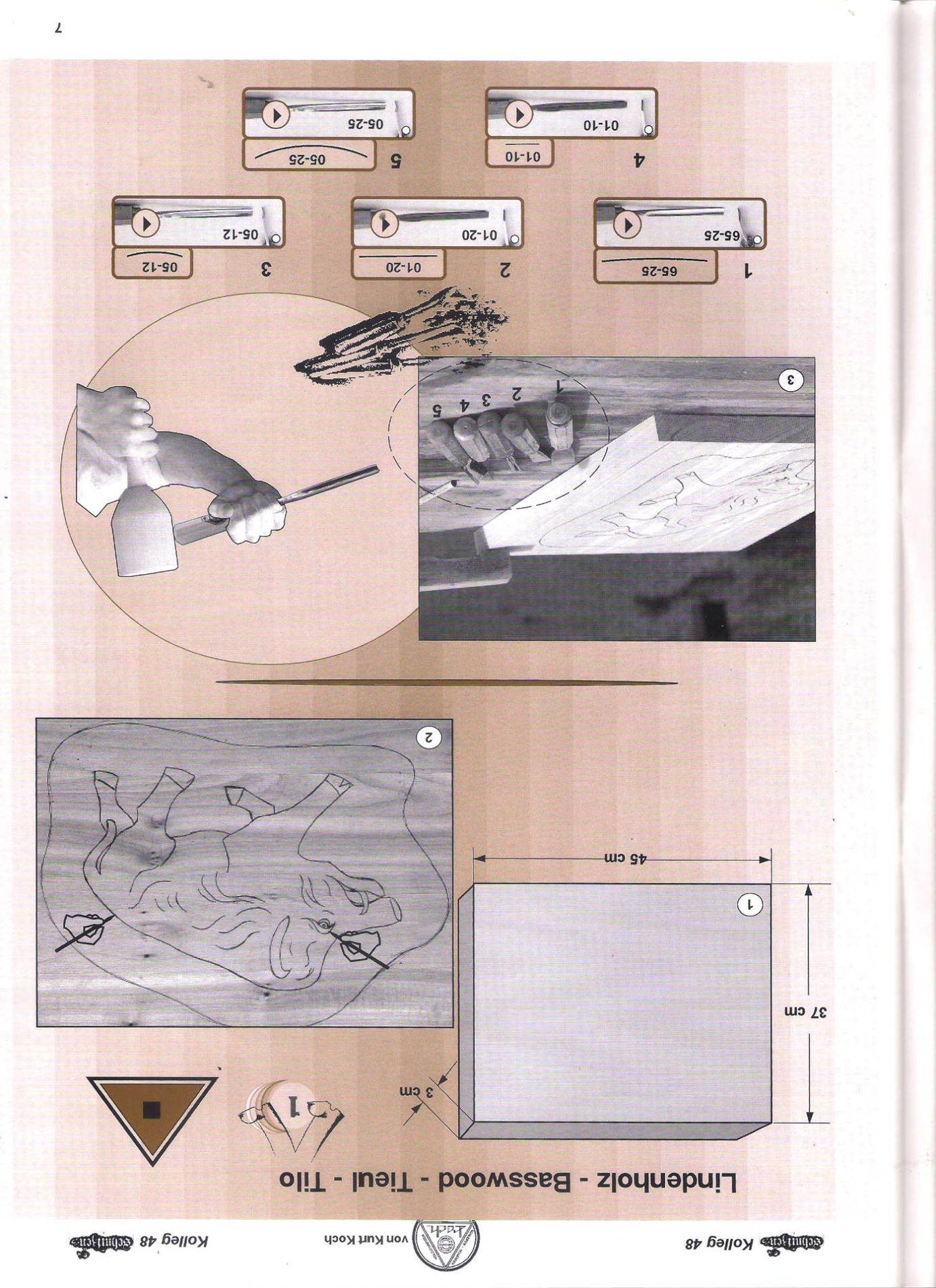 Koch_48-Revista KOCH 48 Aprende como esculpir o tallar animal chancho salvaje-max-2.